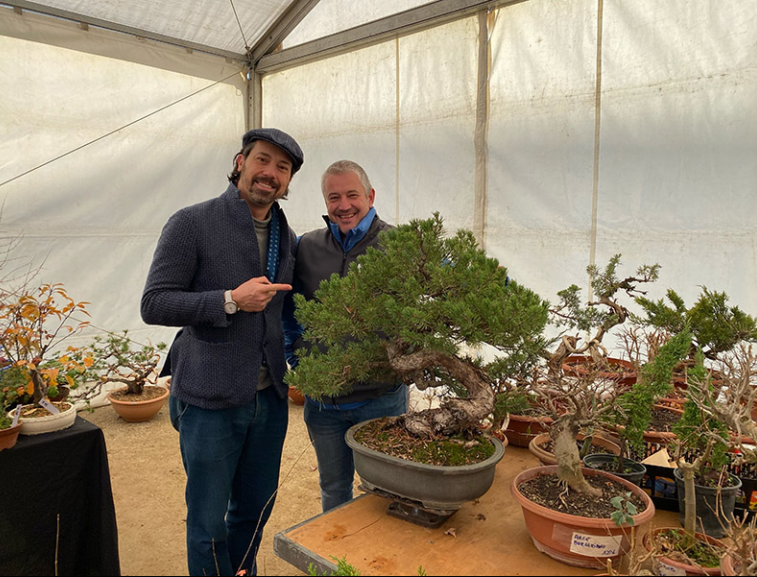 Bonsais Viveros en la Nishikiten 2021