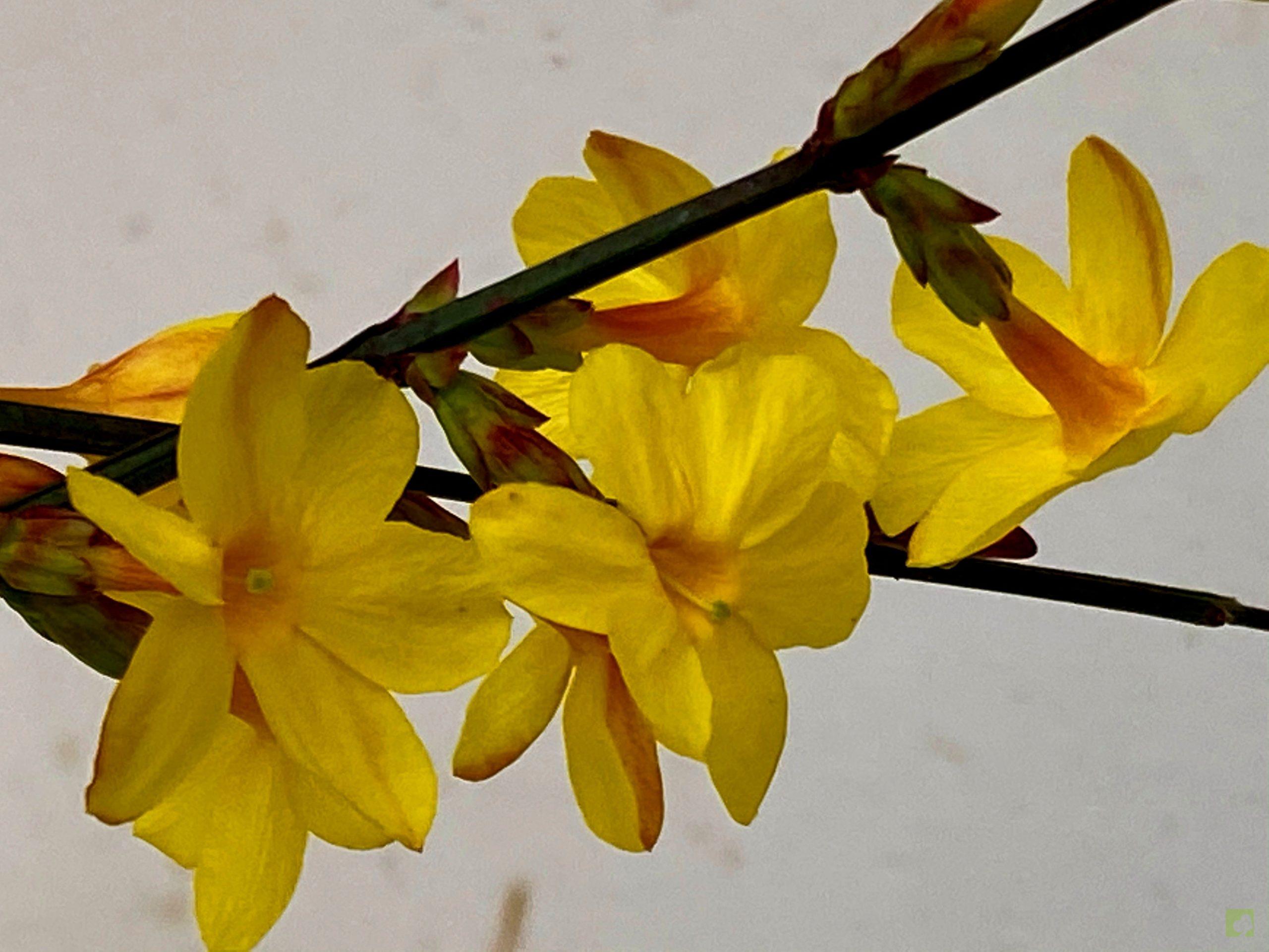 Processed with MOLDIV