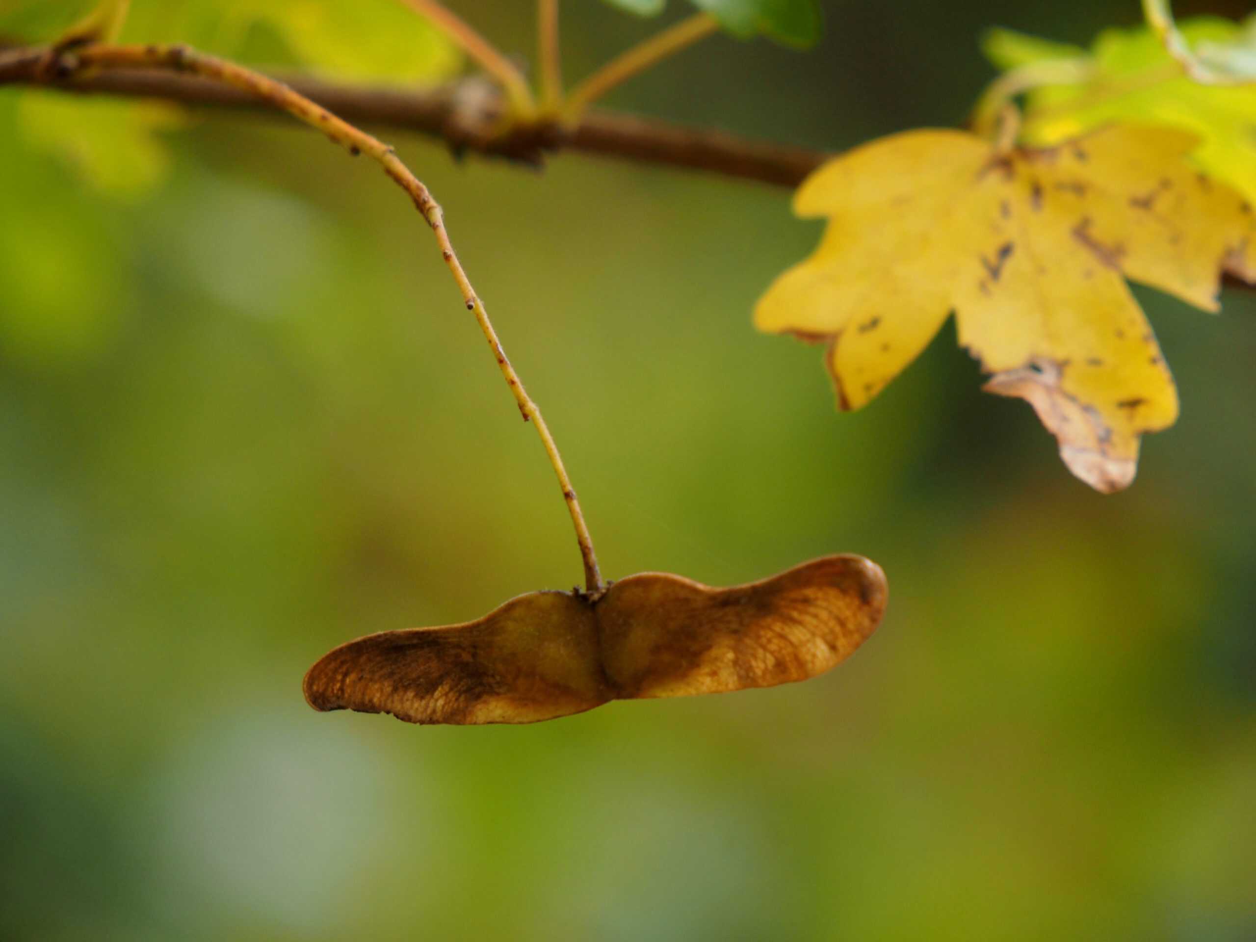 Processed with MOLDIV