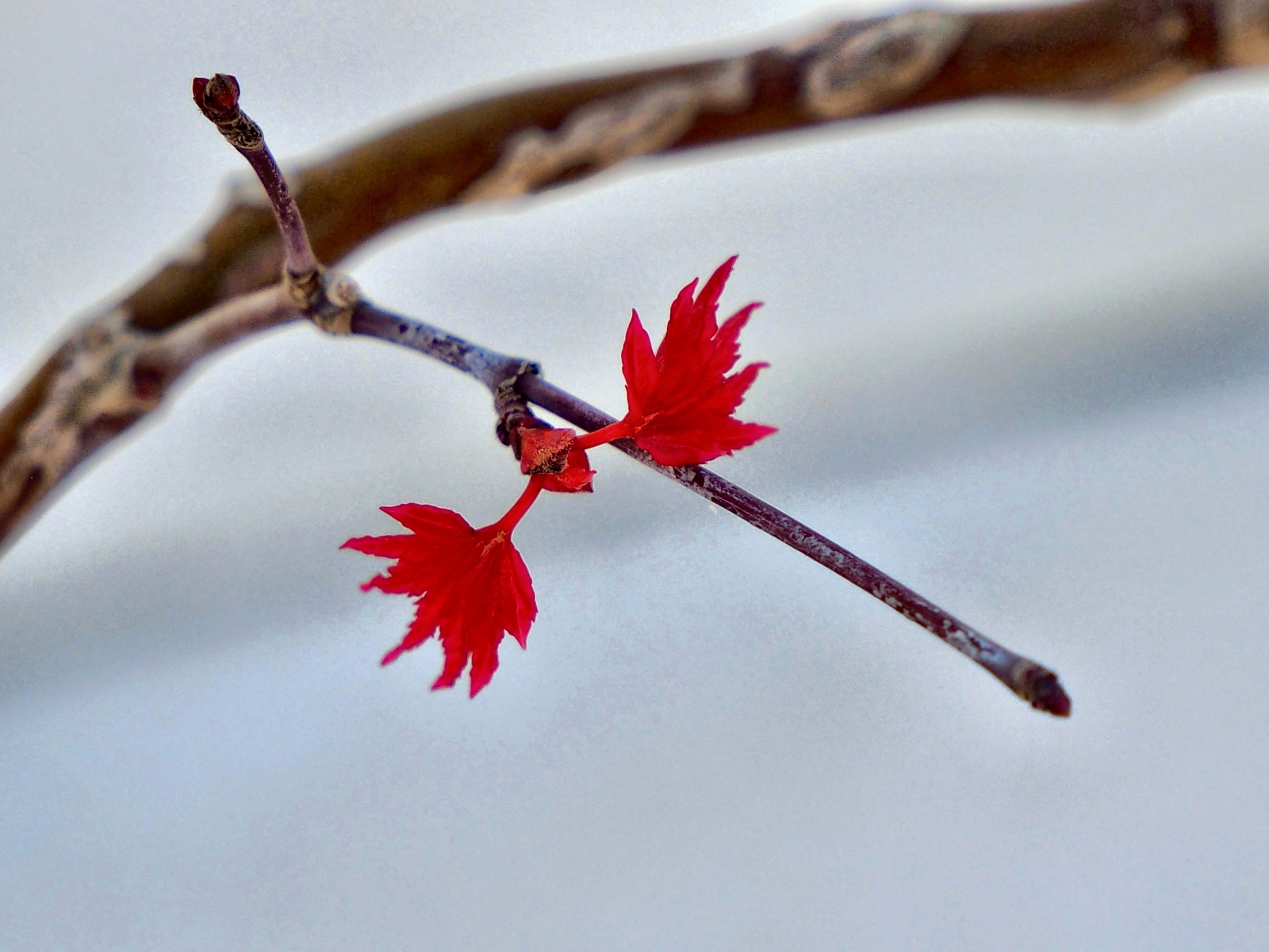 Processed with MOLDIV