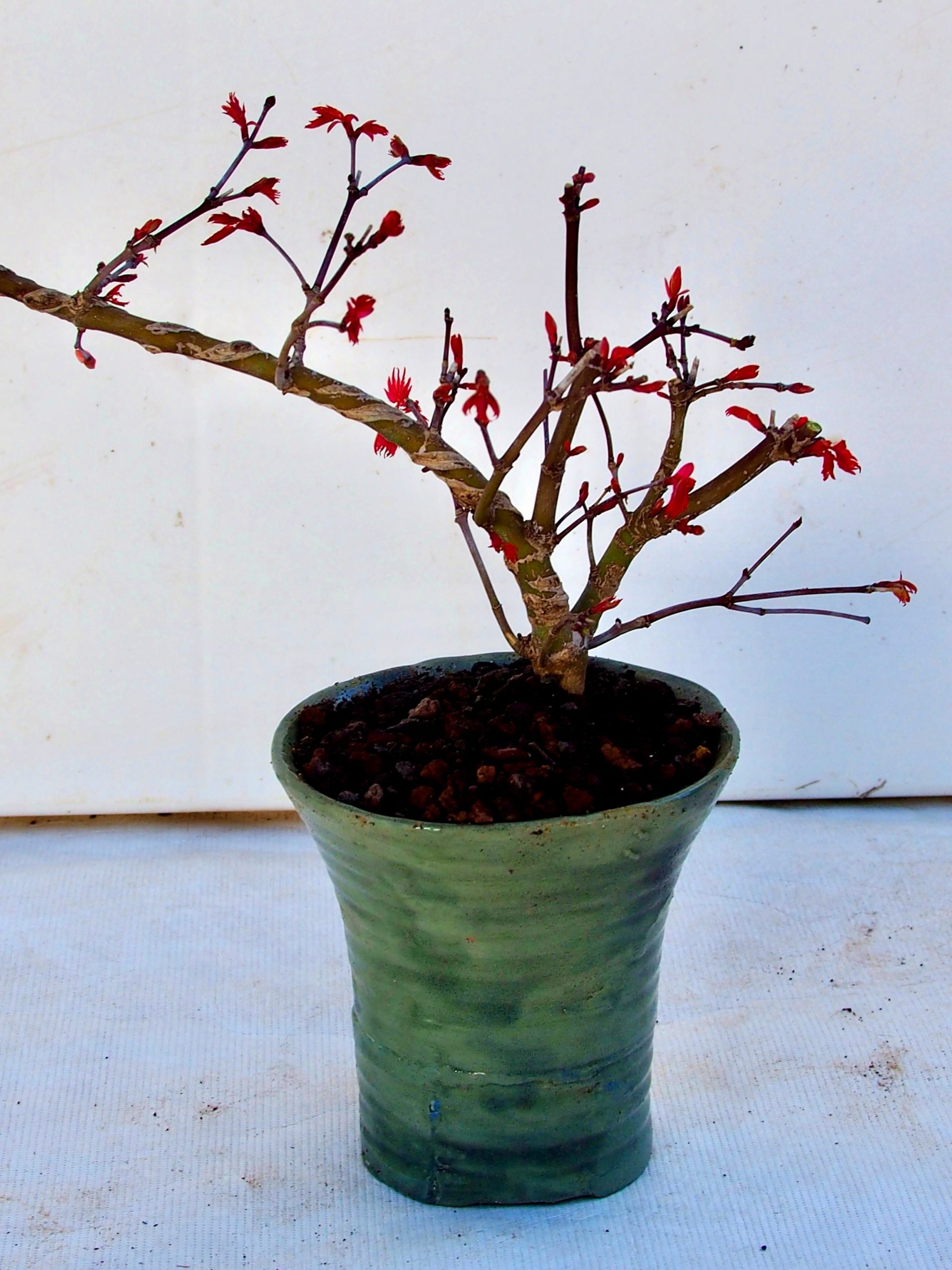 Processed with MOLDIV