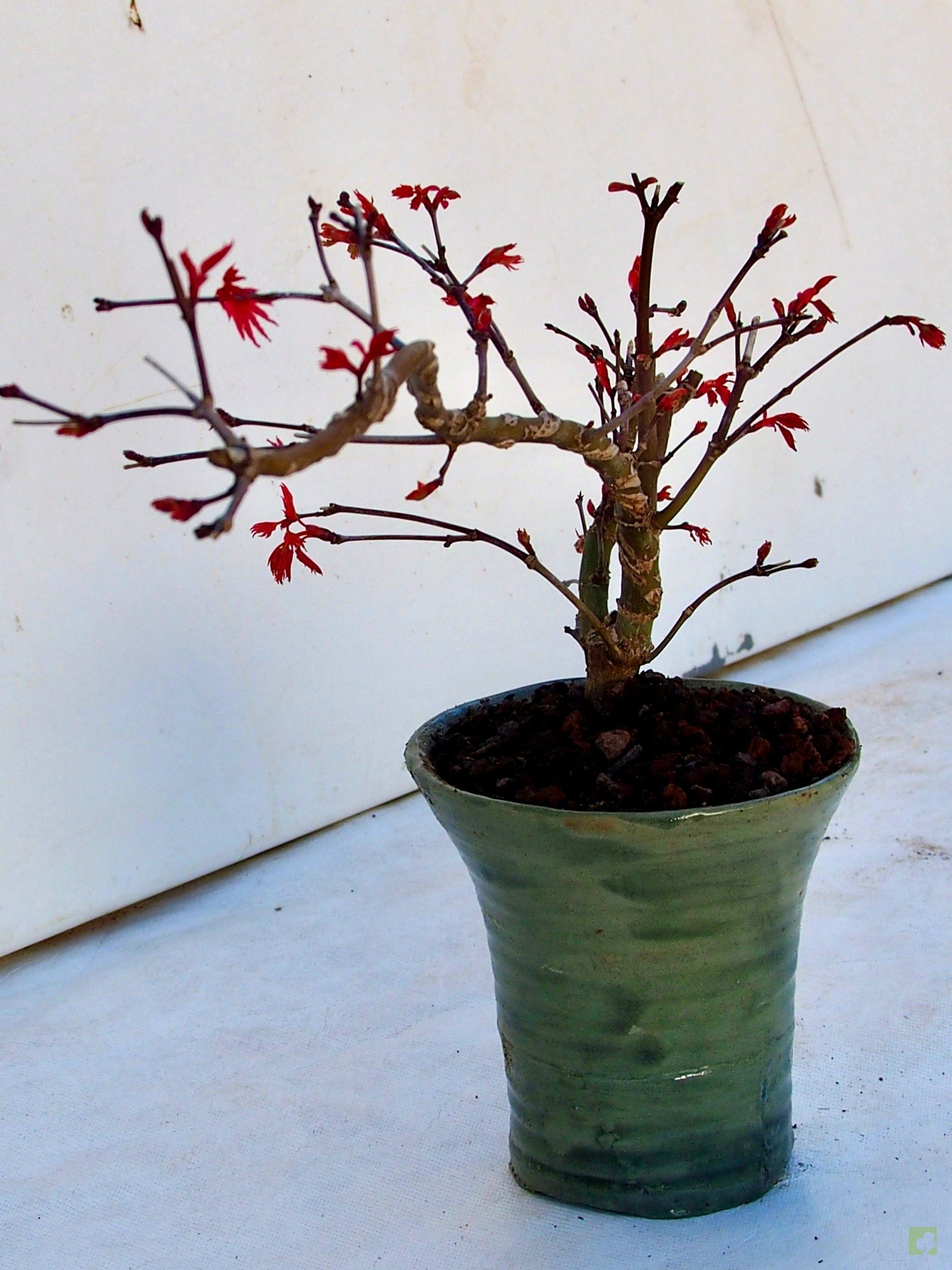 Processed with MOLDIV