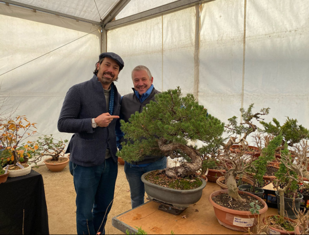 Bonsais Viveros en la Nishikiten 2021